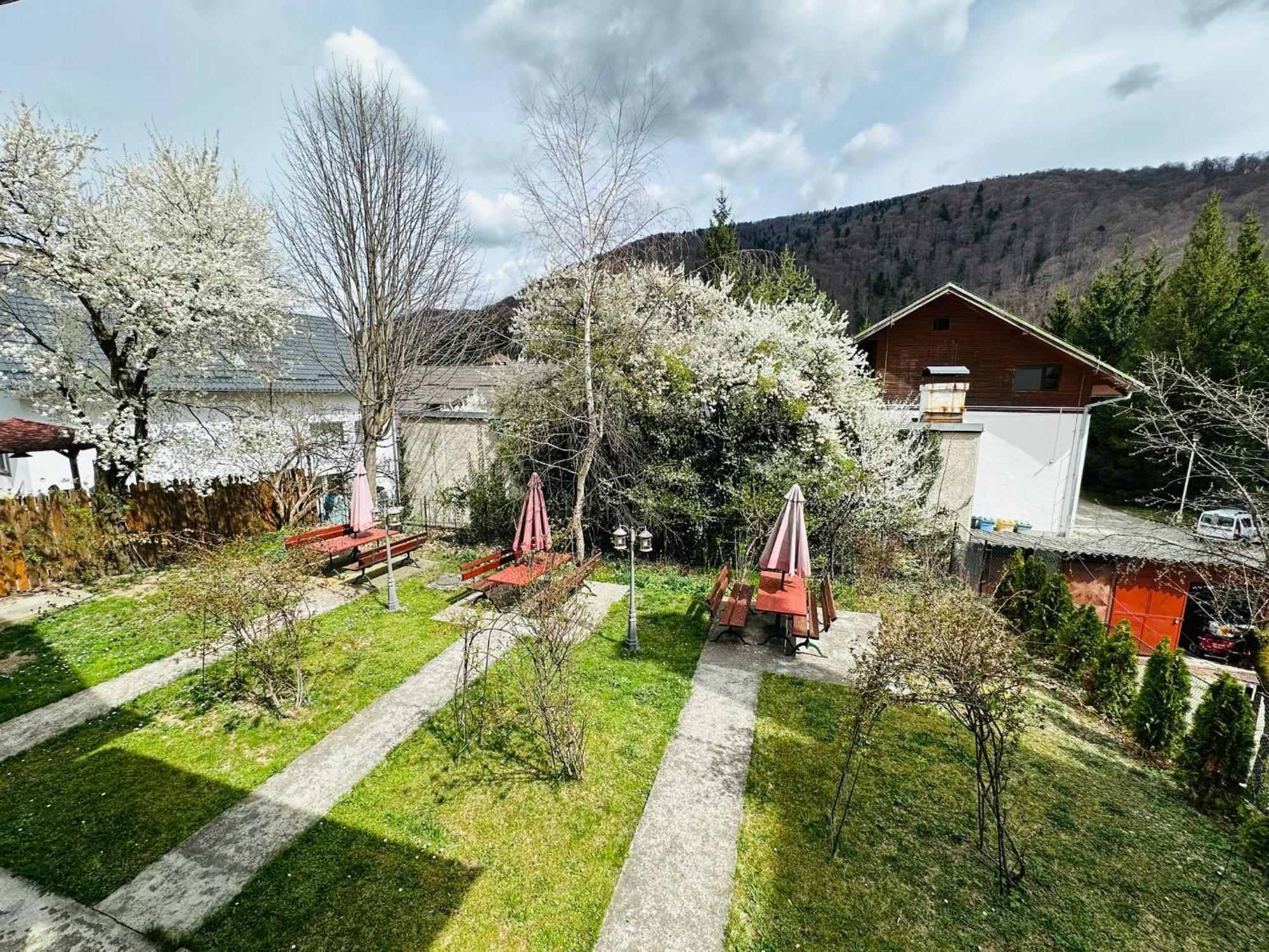Bed and Breakfast Rapsodia Sinaia Exterior foto